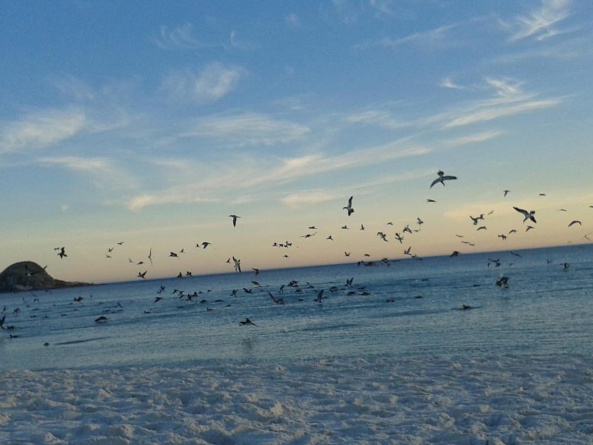 De Frente Para O Caribe Brasileiro. Arraial do Cabo Bagian luar foto